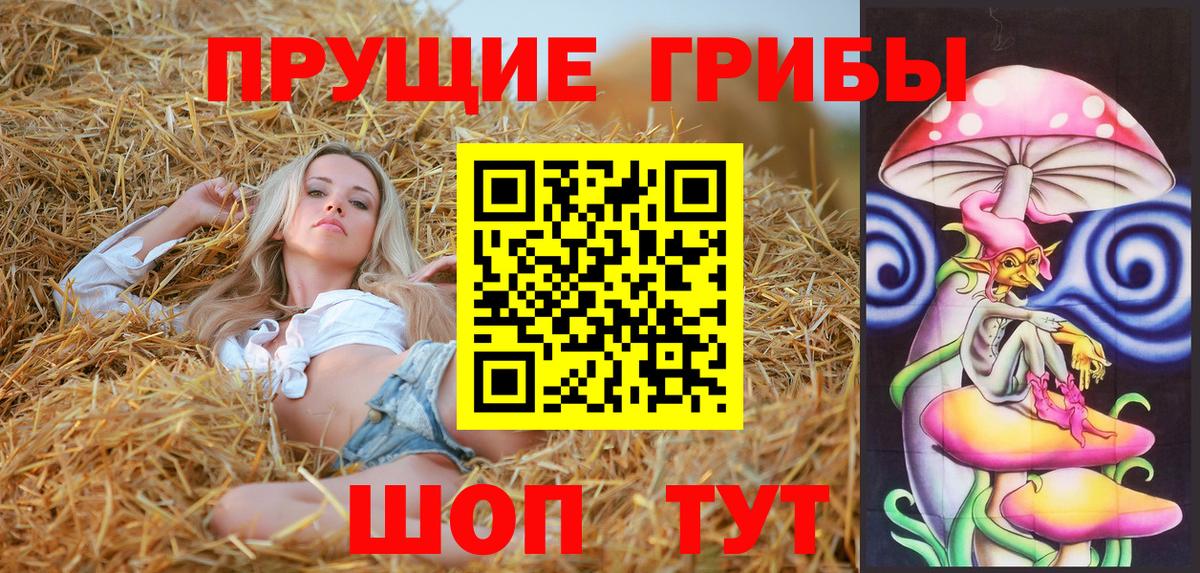 Галлюциногенные грибы Psilocybe  Вход с VPN  Северск 