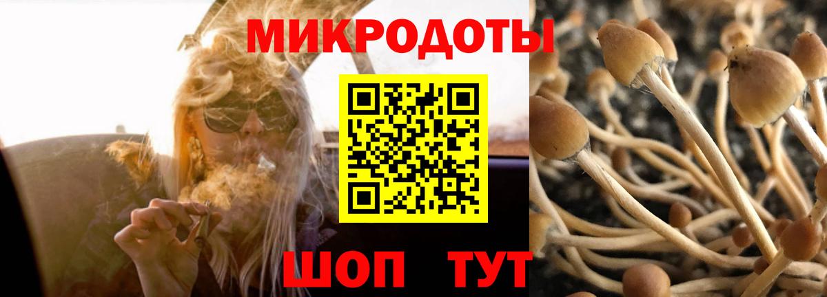 Галлюциногенные грибы мухоморы Северск